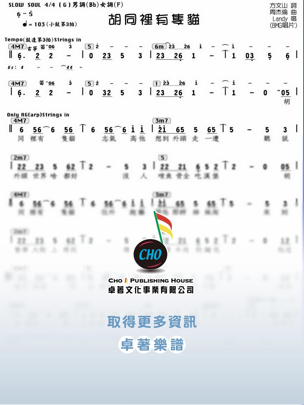 胡同裡有隻貓